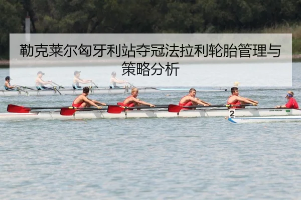 lei-ke-lai-er-xiong-ya-li-zhan-duo-guan-fa-la-li-lun-tai-guan-li-yu-ce-lve-fen-xi-2-646.jpg