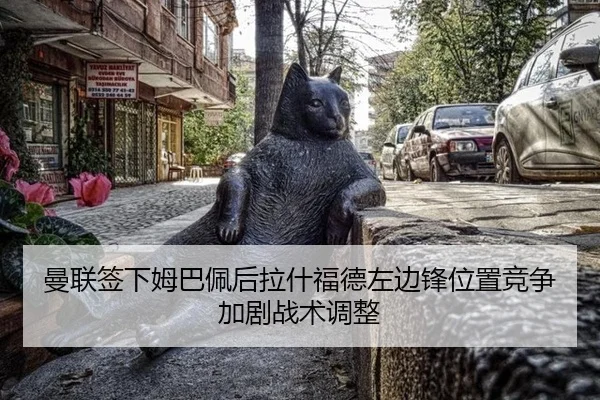 man-lian-qian-xia-mu-ba-pei-hou-la-shen-fu-de-zuo-bian-feng-wei-zhi-jing-zheng-jia-ju-zhan-shu-tiao-zheng-2-182.jpg