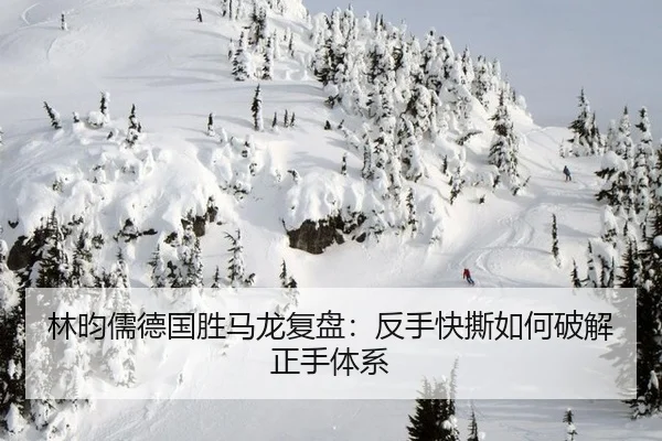 林昀儒德国胜马龙复盘：反手快撕如何破解正手体系